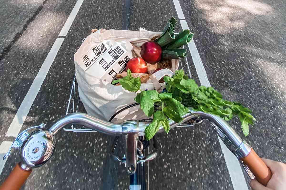 bike and groceries